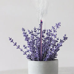 Serenity of Love (Lavender) - DOUBLE DARE